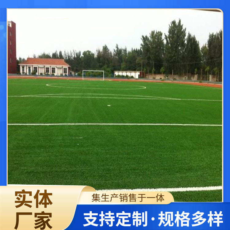 晋城市塑胶篮球场人造草坪 - 厂家